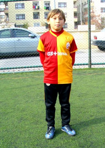 Lowen Geboren in 2003-2004-1